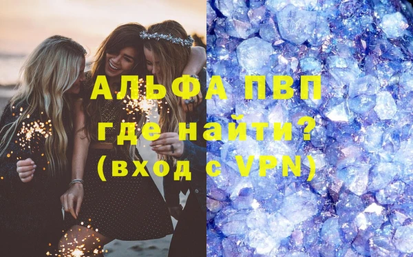 индика Богданович